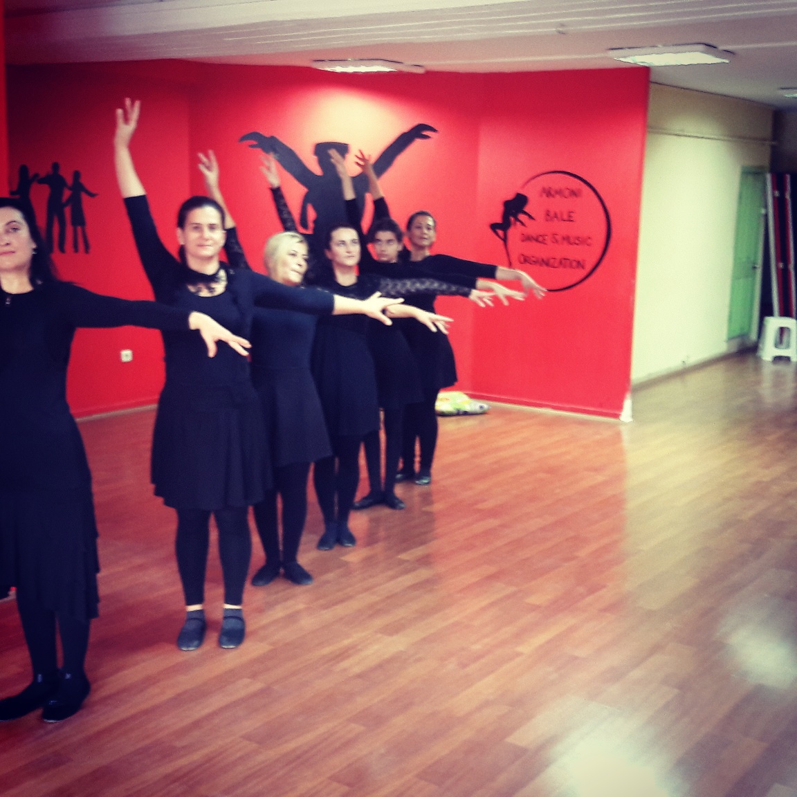 ARMONİ DANS VE MÜZİK AKADEMİSİ