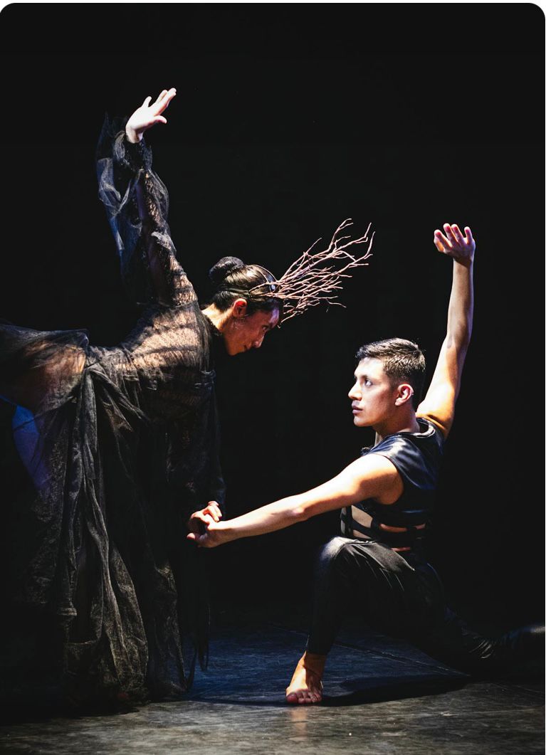 MELODİ SANAT AKADEMİSİ