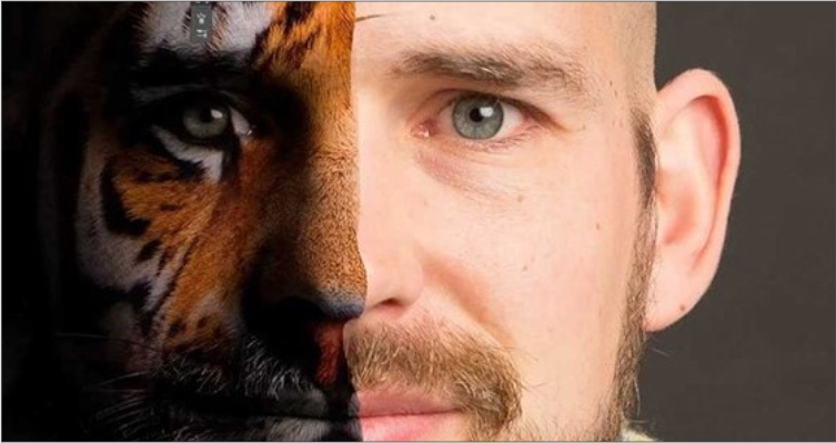 M.E.G - MESLEK EDİNDİRME GRUBU