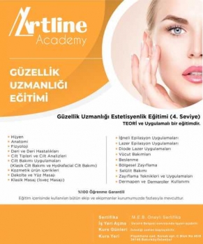 Bakirkoy Zeytinlik Guzellik Uzmanligi Kursu Artline Academy