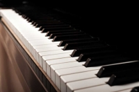 T.C MEB ÖZEL SERDAR SERTTAŞ MÜZİK KURSU