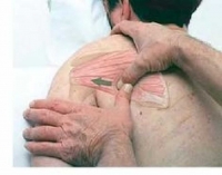 Izmir Masaj Kurslari Ve Fiyatlari Yorumlar Indirimler