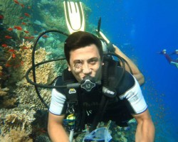 Dalis Kurslari Ve Fiyatlari Gercek Yorumlar Indirimler