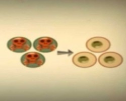 Esenyurt Yenikent Ingilizce Kursu Fen Bilimleri Egitim Kurumlari Esenyurt