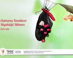 Istanbul Da Hizli Okuma Kursu Veren En Iyi 10 Kurum