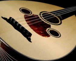 Konak Kilicreis Ud Kursu Punta Sanat